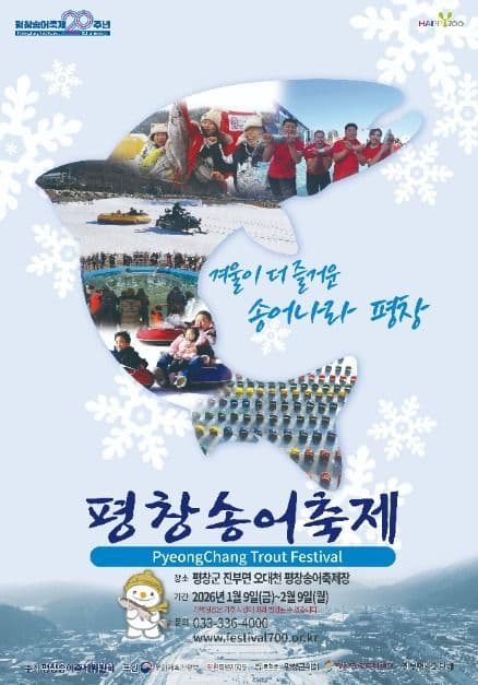 Pyeongchang Trout Festival: Ice Fishing at 700 Meters