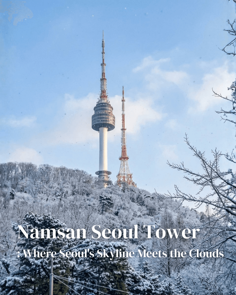 N Seoul Tower & Namsan Park: The Complete Guide to Seoul's Iconic Hilltop Landmark