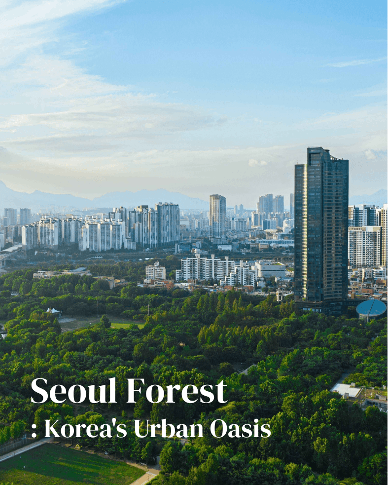 Seoul Forest: Where the City Exhales