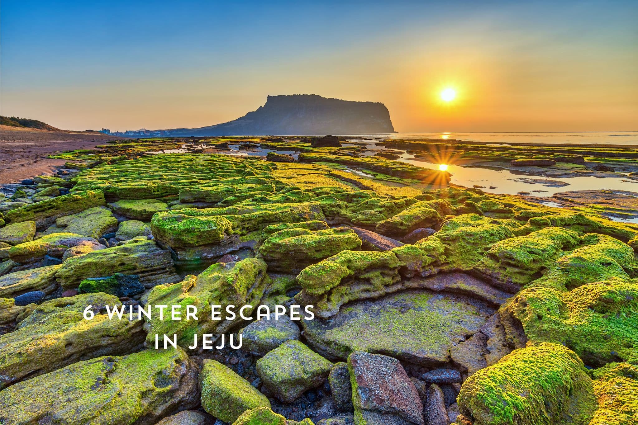 6 Winter Escapes in Jeju